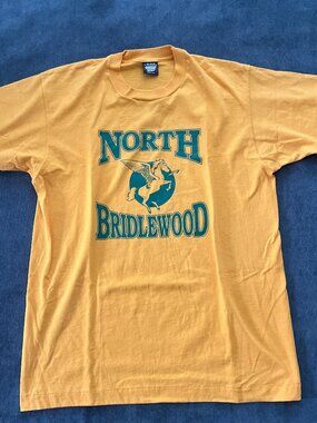 Screen Stars North Bridlewood Vintage T (L)